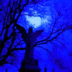 Mr. Sandman