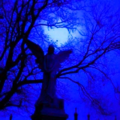Mr. Sandman
