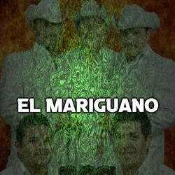 El Mariguano