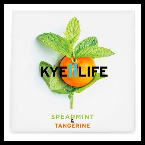 Spearmint & Tangerine