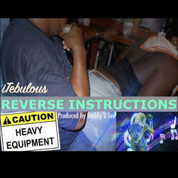 Reverse Instructions