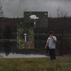 Walk in the Park