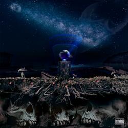 Rich & Rare Freestyle