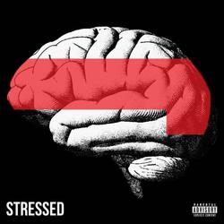 STRESSED II (feat. xtaye)