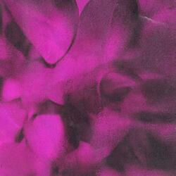 Dommage (feat. Swanee)