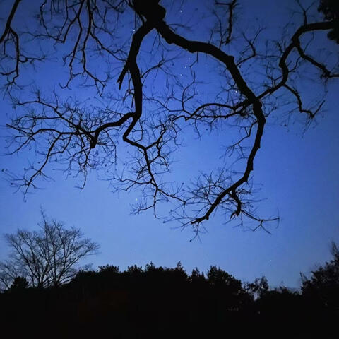 23:00