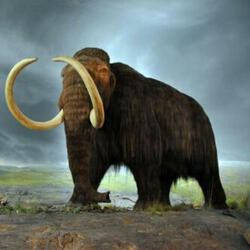 Mammoth Hunters
