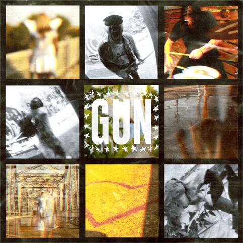 Gun