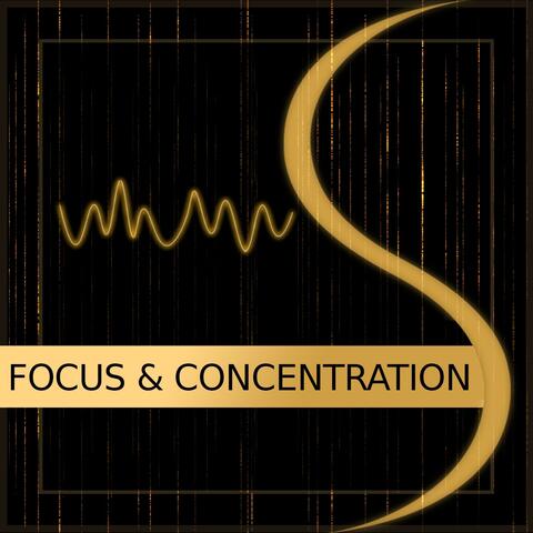 Focus And Concentration (extended Version)