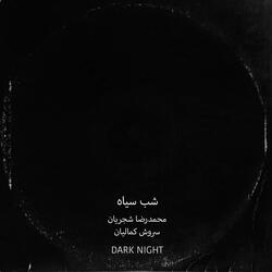 Dark Night (feat. Mohammadreza Shajarian)