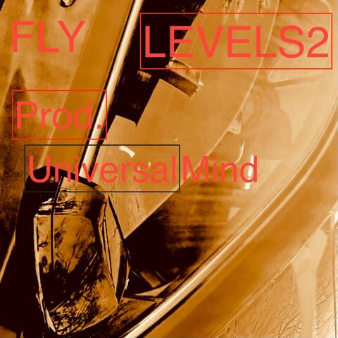 Levels 2