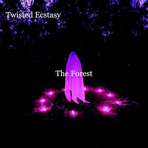 The Forest/Twisted Ecstasy EP