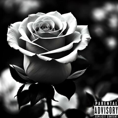 Thorns on a rose (feat. Susp3ct)