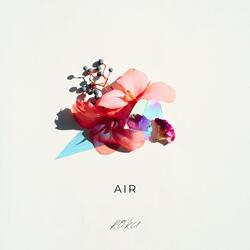 Air (feat. Otto Palmborg)