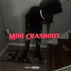 Mini Crashout