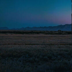 the sky is blue and the wind is free