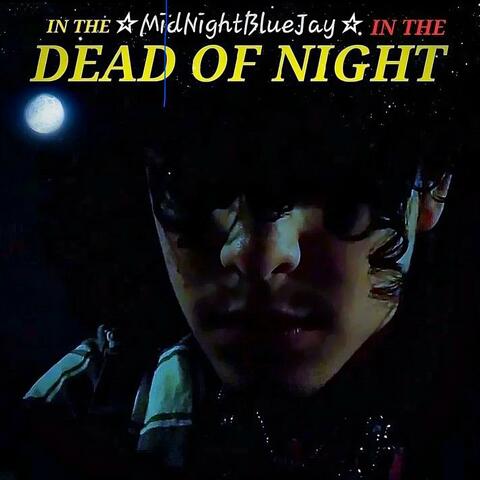 In The Dead Of The Night