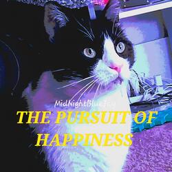 The Pursuit Of Happiness