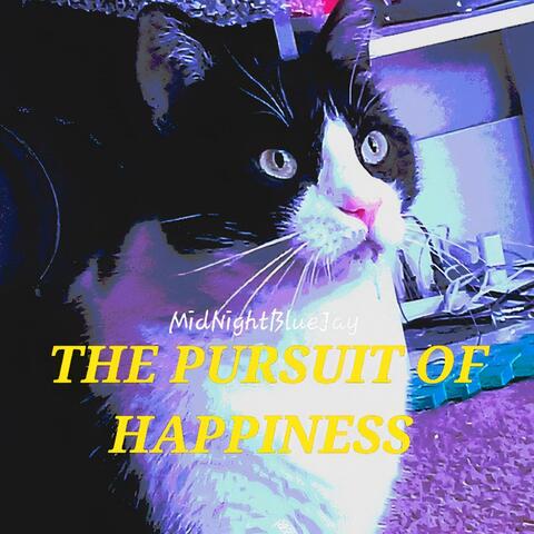 The Pursuit Of Happiness