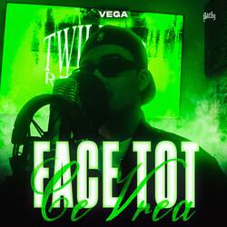 Face Tot Ce Vrea (feat. VEGA)