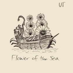 Flower of the Sea