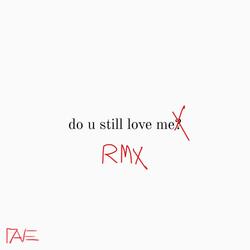DO U STILL LOVE ME RMX