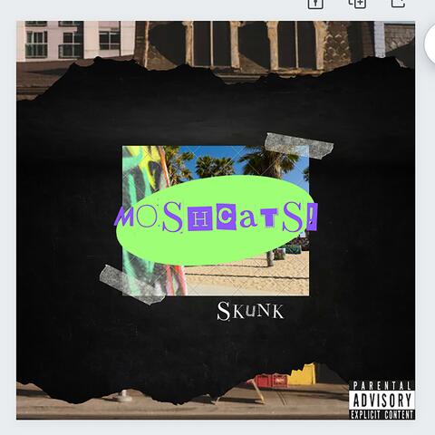 Skunk