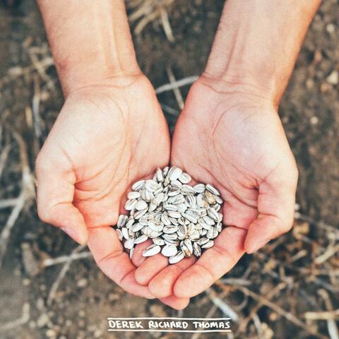 SEEDS