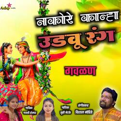 Nako Re Kanha Udavu Rang (feat. Gayatri Shelar)