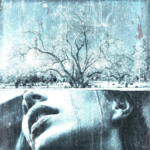 Reality From The Scars