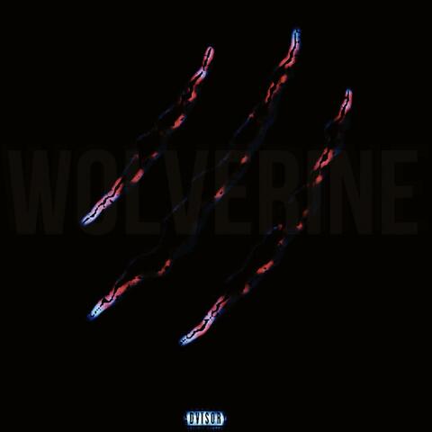 Wolverine