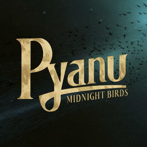 Midnight Birds