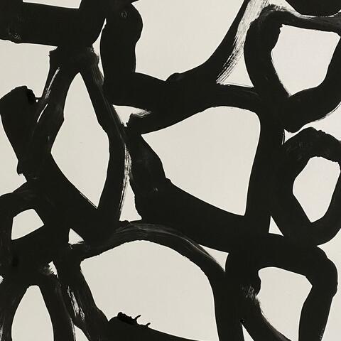 like an owl exploding