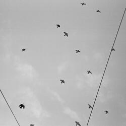 Detroit Dream / Roll Deep and Take Care of the Crew