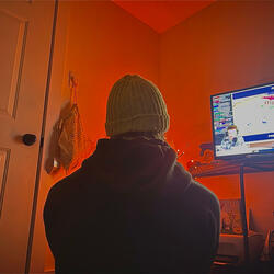 Yellow Toque