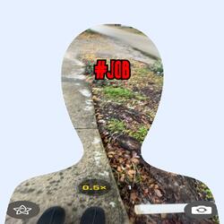 Job (feat. bat64)