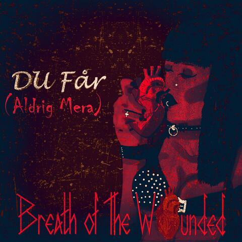 Du Får (Aldrig Mera)