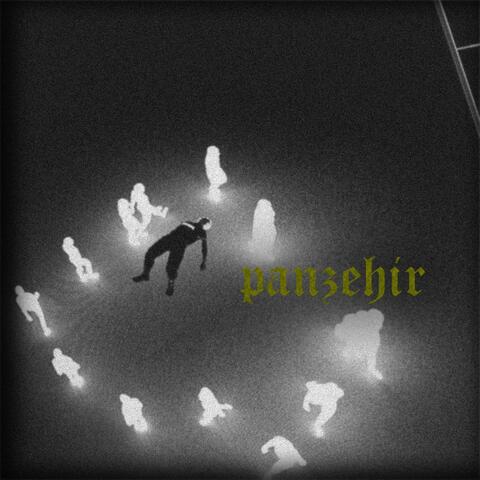 Panzehir