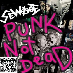 Punk not Dead Mix of What Happened to the Punk Rock