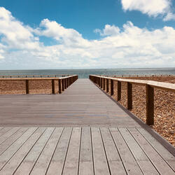 Back To The Sea
