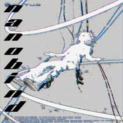 NANOBIND