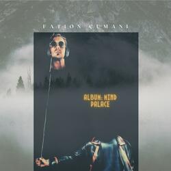 Mind Palace (The 52 Hz Whale Song)