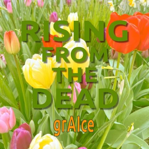 Rising from the dead