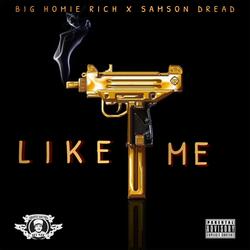 Like Me (feat. Samson Dread)