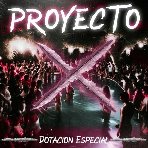 Proyecto X