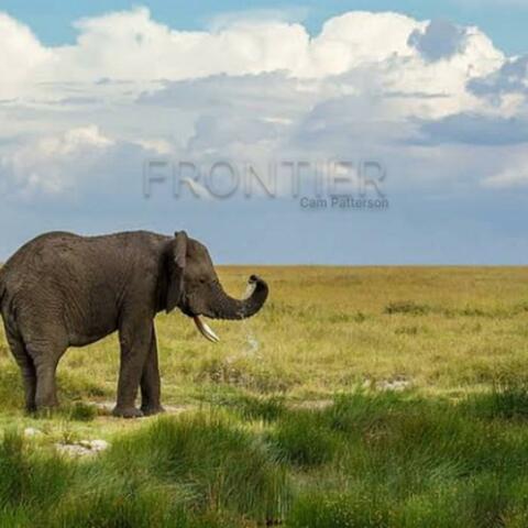 Frontier