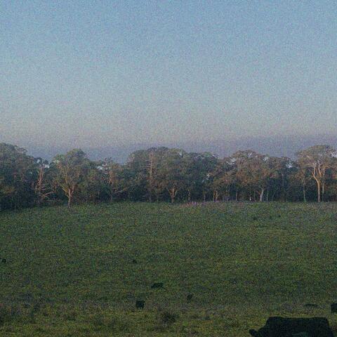 colliding, engulfing