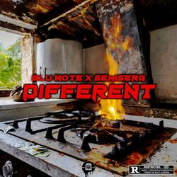 Different (feat. Blu Note)