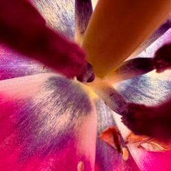 Arriving into Awareness