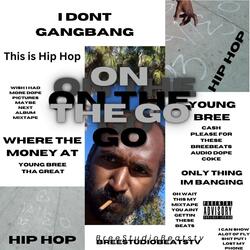 Professional On The Go (On The Run)